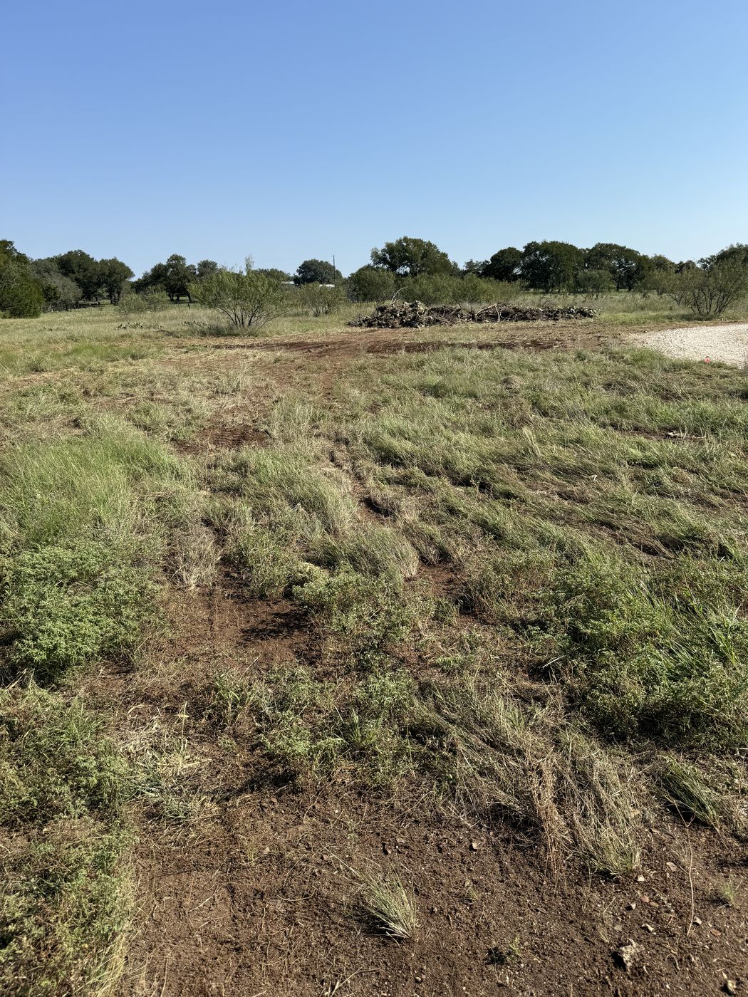 Cleared lot and debris pile