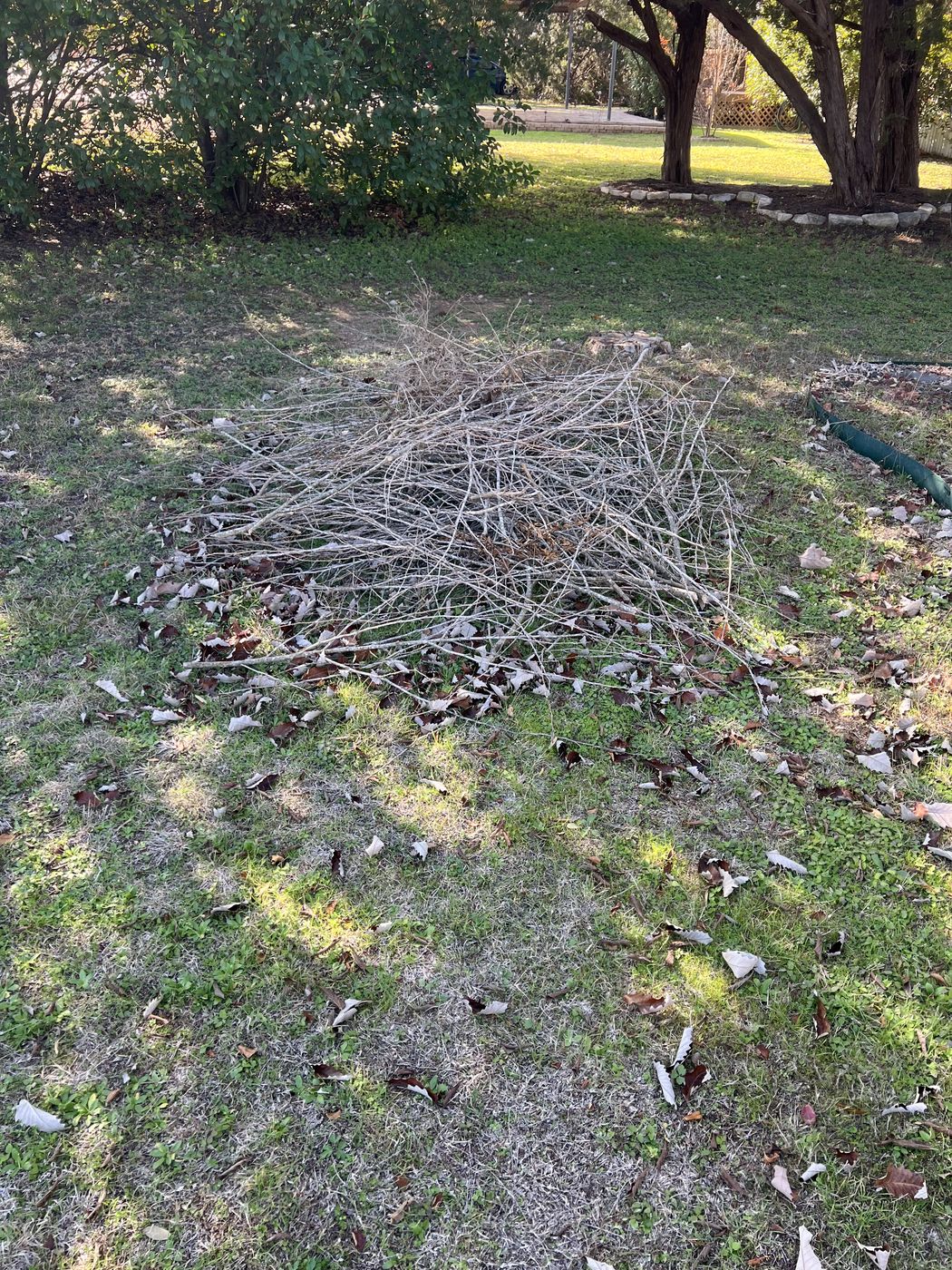 Land clearing and management